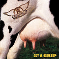 Aerosmith - Get A Grip ( VINYL )