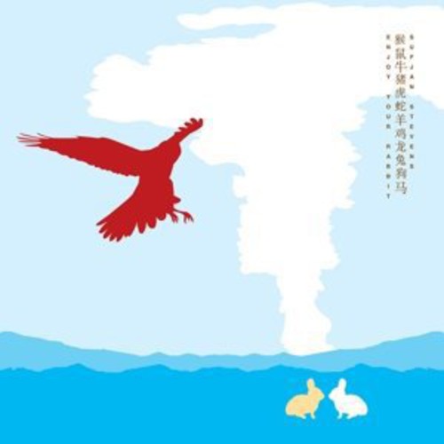 Sufjan Stevens - Enjoy Your Rabbit ( VINYL )