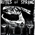 Rites of Spring - Rites of Spring ( VINYL )