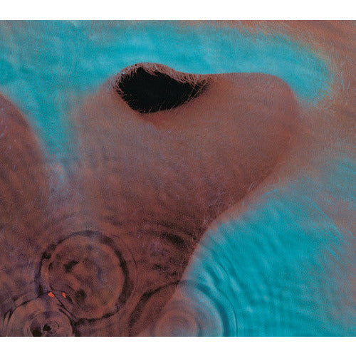 Pink Floyd - Meddle ( VINYL )