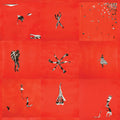 Animal Collective - Animal Collective ( VINYL )