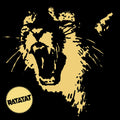 Ratatat - Classics ( VINYL )