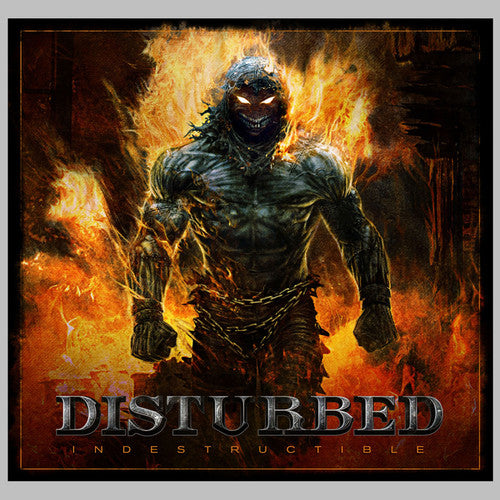 Disturbed - Indestructible ( VINYL )