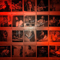 Chris Cornell - No One Sings Like You Anymore ( VINYL )