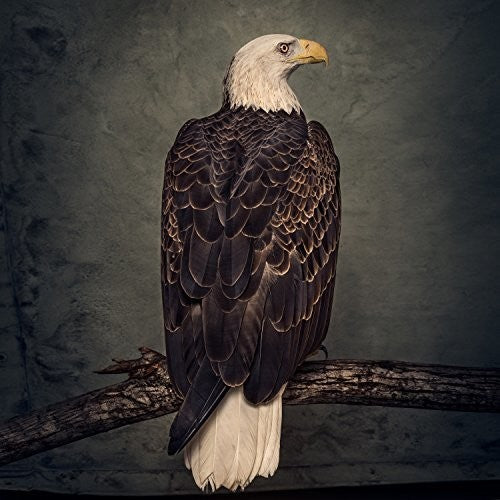 Clutch - Book Of Bad Decisions ( VINYL )