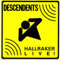 Descendents - Hallraker ( VINYL )