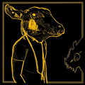Shakey Graves - Roll The Bones X ( VINYL )