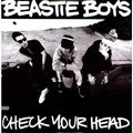 Beastie Boys - Check Your Head ( VINYL )