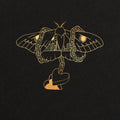 David Gray - Gold in a Brass Age ( VINYL )