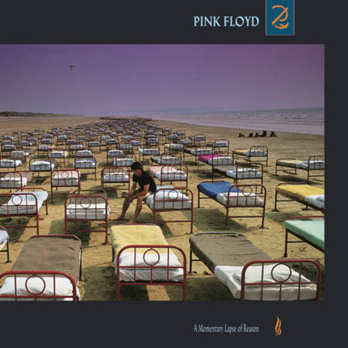 Pink Floyd - A Momentary Lapse Of Reason ( VINYL )