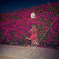 Feist - Pleasure ( VINYL )