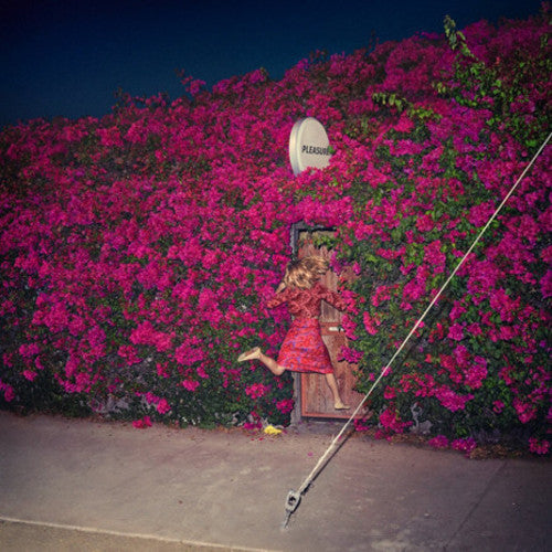 Feist - Pleasure ( VINYL )