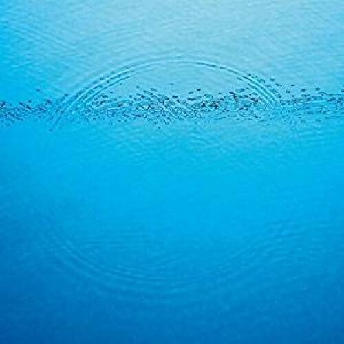Caribou - Suddenly ( VINYL )