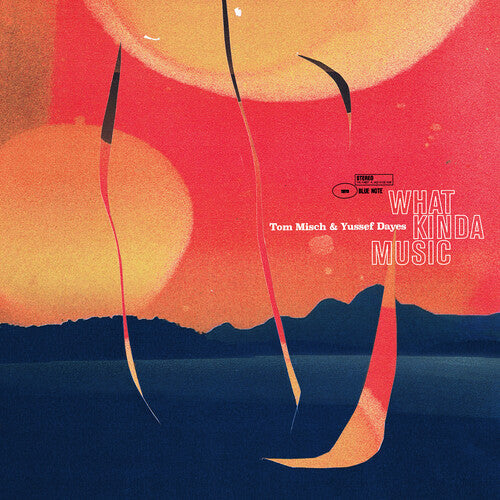 Tom Misch & Yussef Dayes - What Kinda Music ( VINYL )
