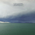 Modest Mouse - Fruit That Ate Itself ( VINYL )