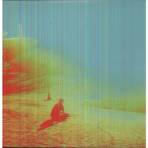 The Flaming Lips - The Terror ( VINYL )