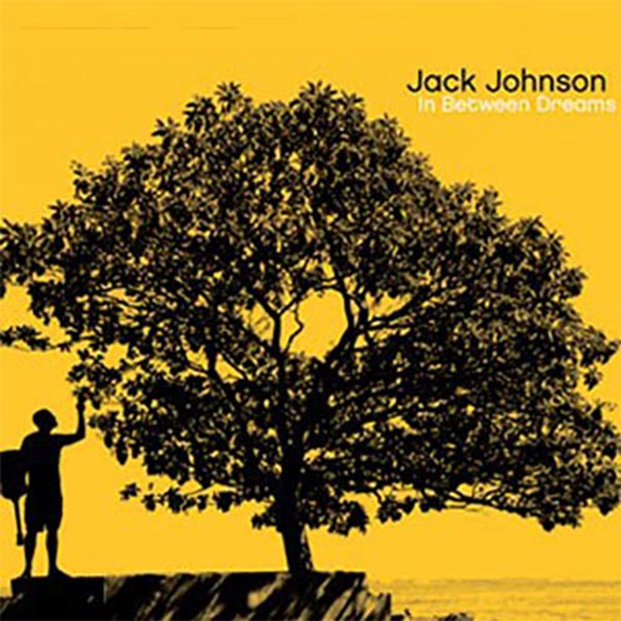Jack Johnson - In Between Dreams (Limited Edition) ( VINYL )