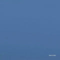 New Order - Be A Rebel - 12" EP