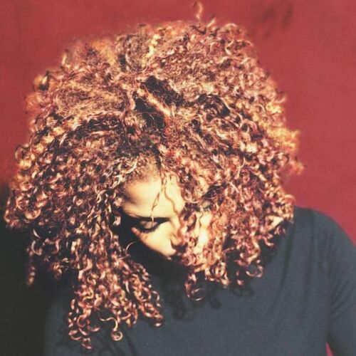 Janet Jackson - The Velvet Rope ( VINYL )