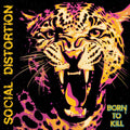 Social Distortion - Born To Kill ( VINYL )