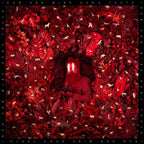 Iron & Wine - Hen's Teeth ( VINYL )