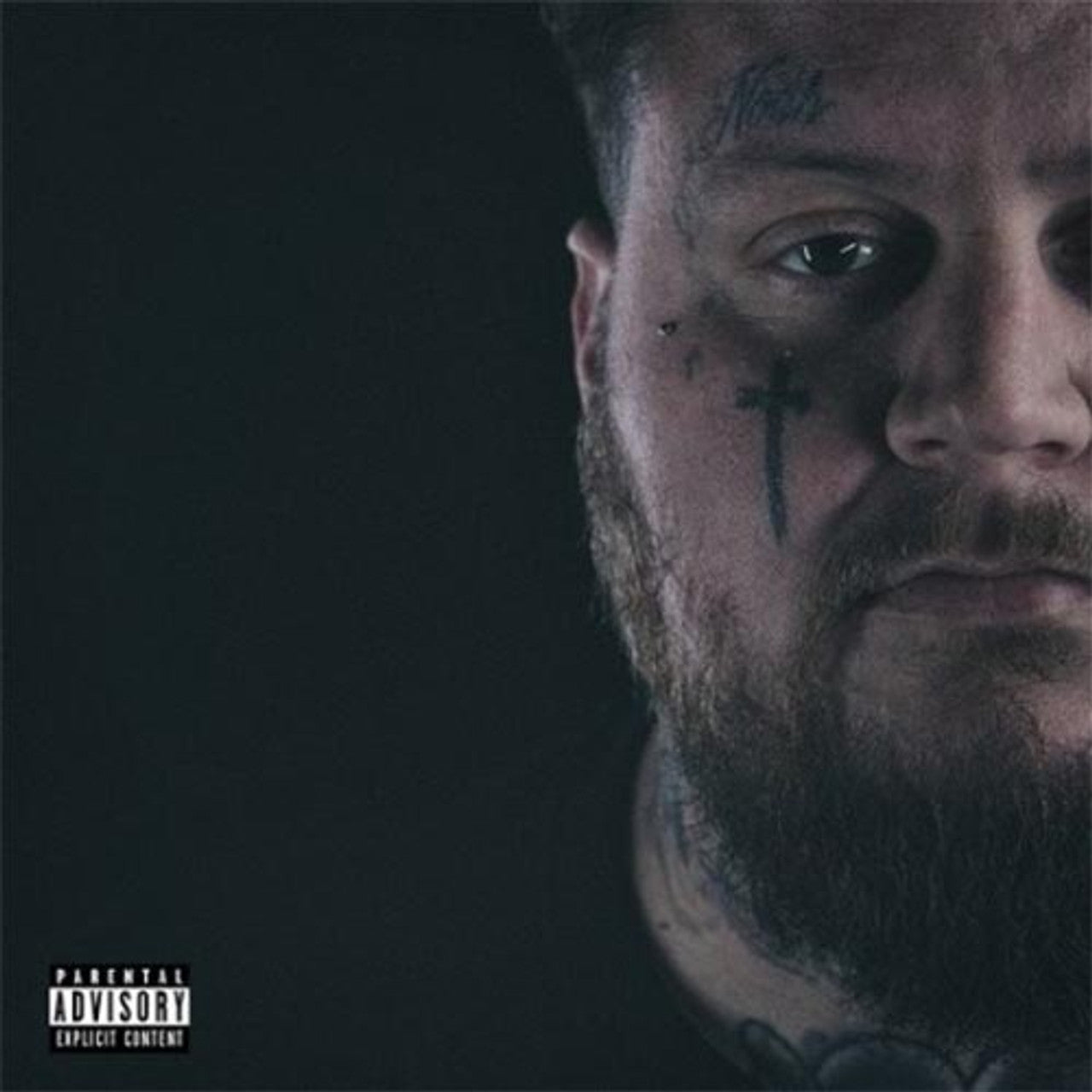 Jelly Roll - A Beautiful Disaster ( VINYL )