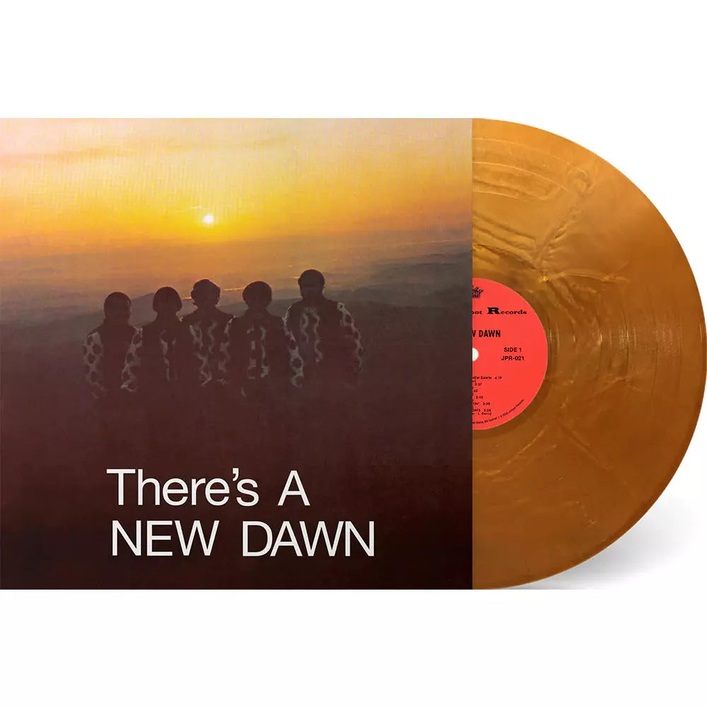The New Dawn - There's A New Dawn ( VINYL )