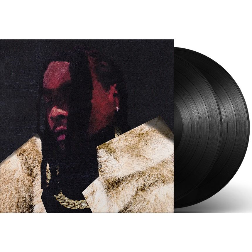 Wale - everything is a lot. ( VINYL )